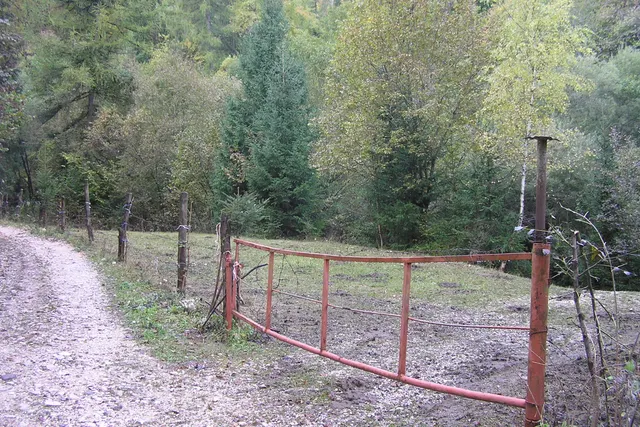 Campo Prada 1
