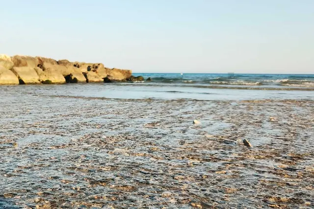 Camping Barchi