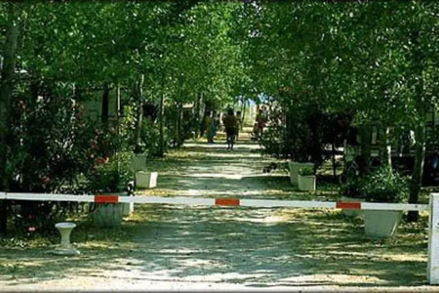 Camping Internazionale Free Beach Residence