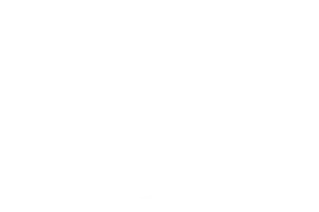 Allegro