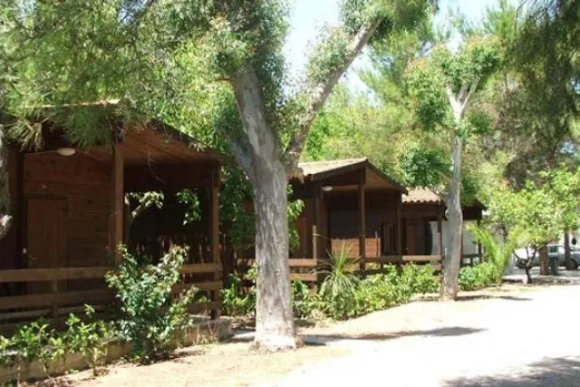 Viola Club Village