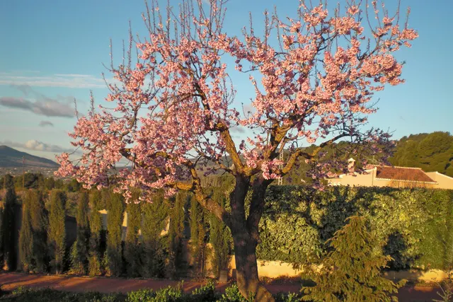 El Castellet