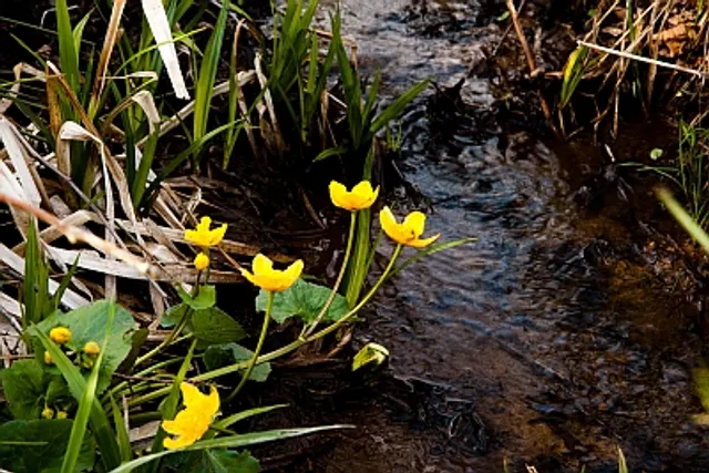 Naturistenbund Bayreuth e.V. (FKK-Gelände)