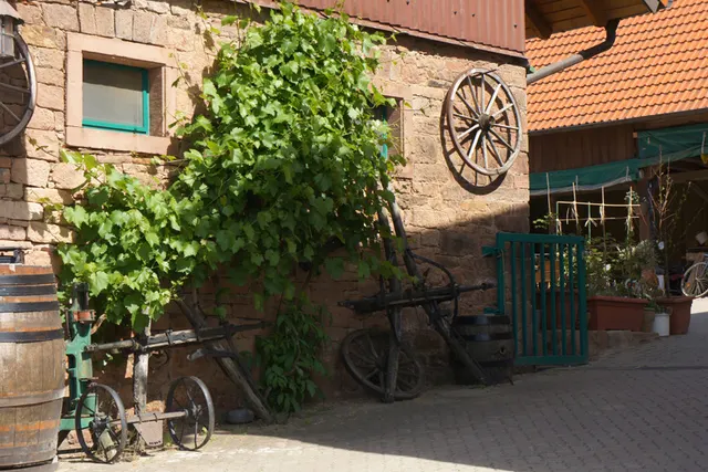 Reisemobilstellplatz Hof Schabernack