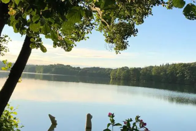 Stocksee
