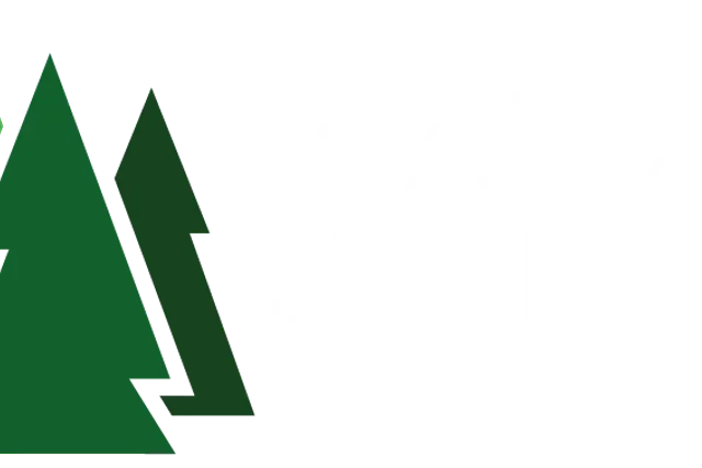 Waldstellplatz Lienen
