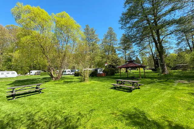 Waldcamping Colditz