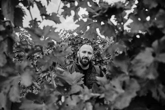 Wohnmobilstellplatz Weingut Stefan Meyer