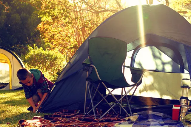 Alpine Grove Touring Park