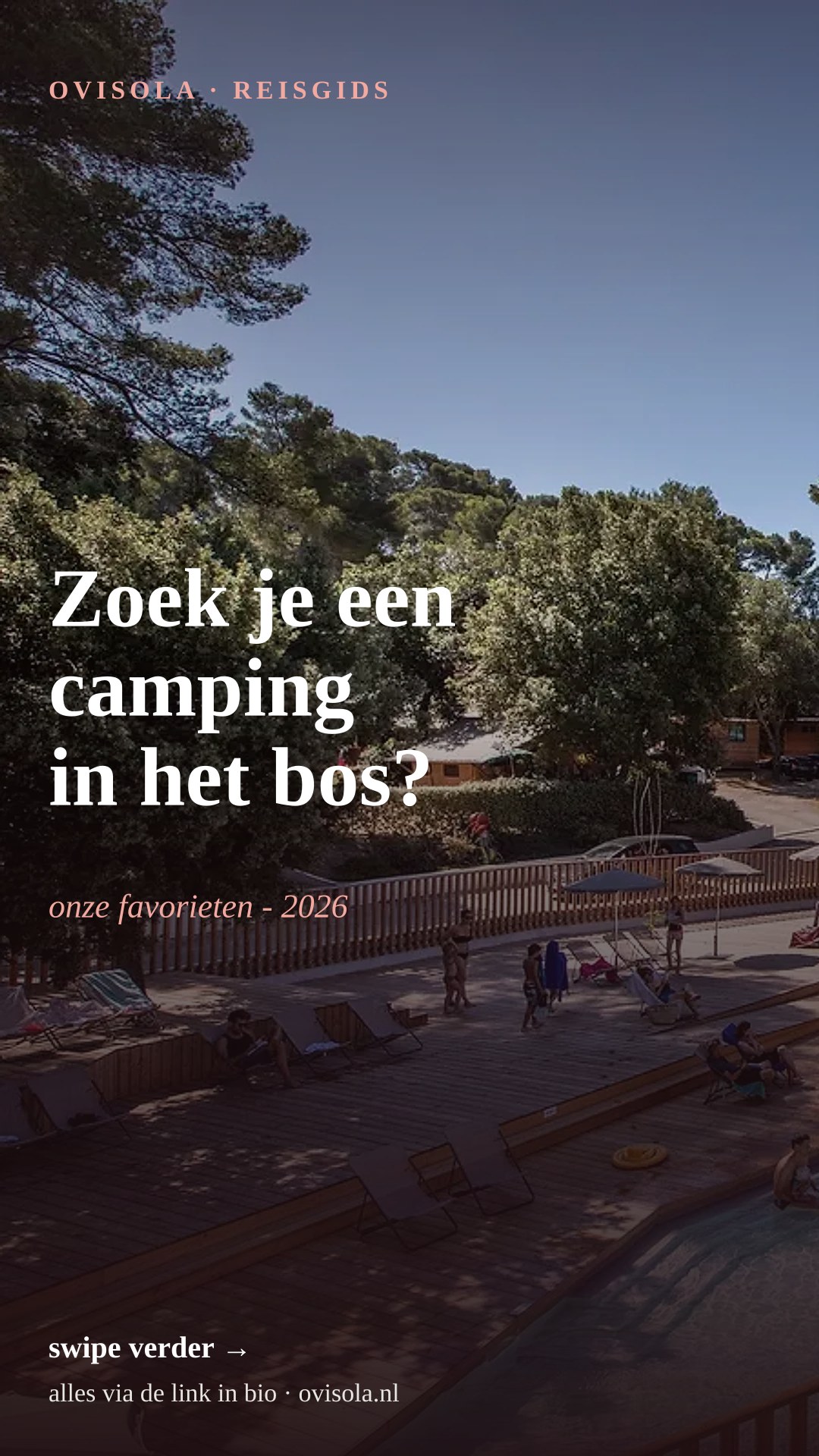 Zoek je een camping in het bos? 👇